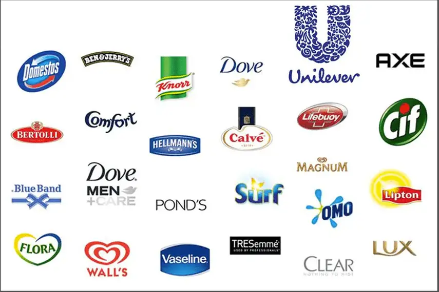 Dividend Stock Unilever brands