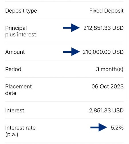 investment portfolio - fixed desposit