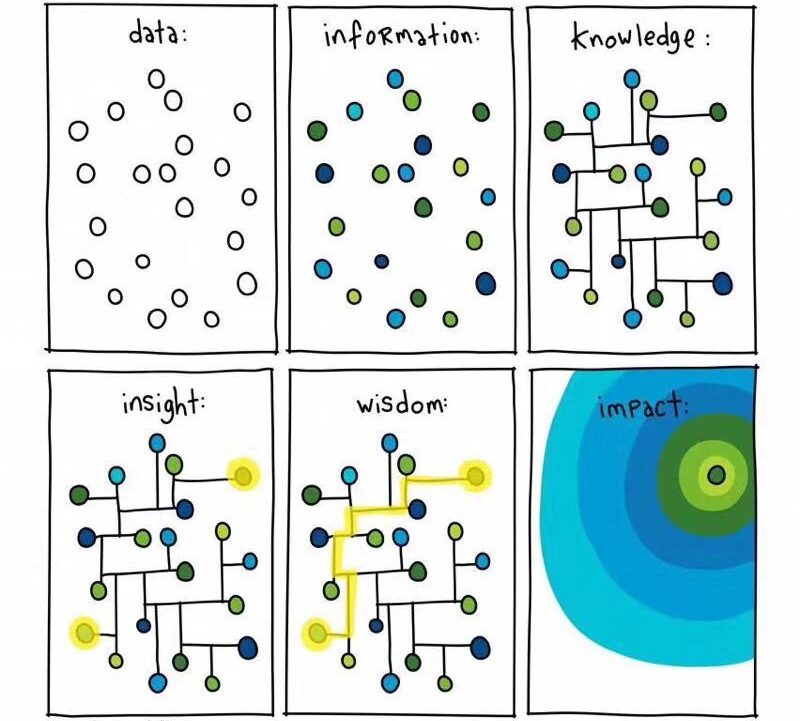 difference btw data info insight wisdom 