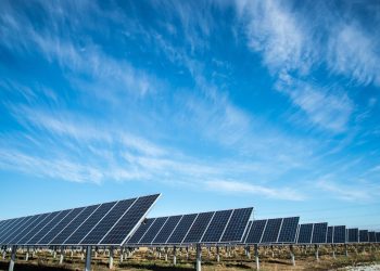 Make money with solar panels via The Sun Exchange